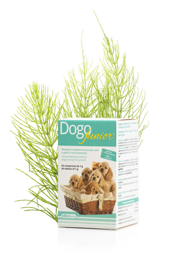 Condroprotector DOGOjunior® - Imagen 2