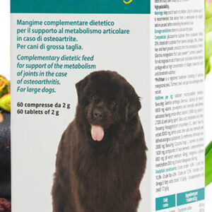 Condroprotector DOGOMaxy®