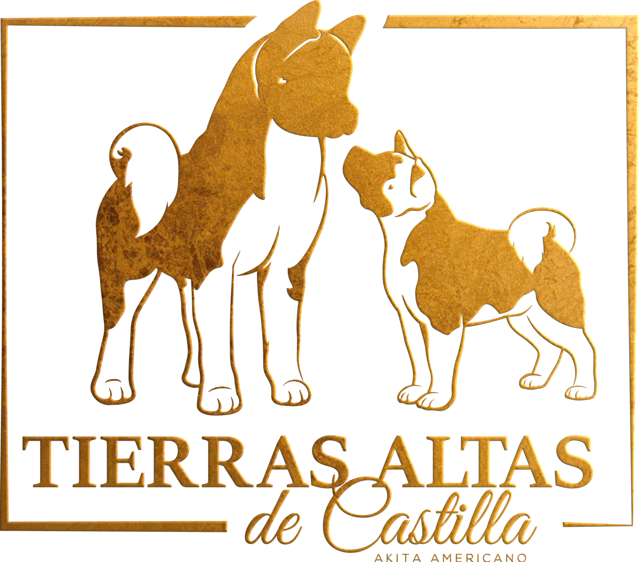 Mascoteka Tierras Altas de Castilla